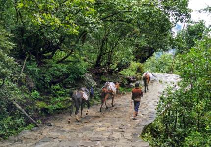 Hemkunt Sahib Spiritual Journey Package