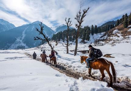 Kashmir Taxi Rental