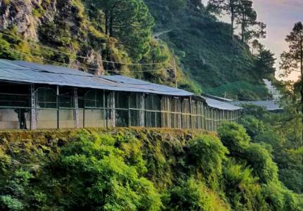 Katra Taxi Rental