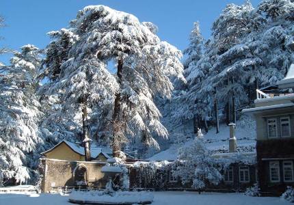 Shimla Taxi Rental