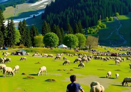 Chandigarh to Kashmir Scenic Journey
